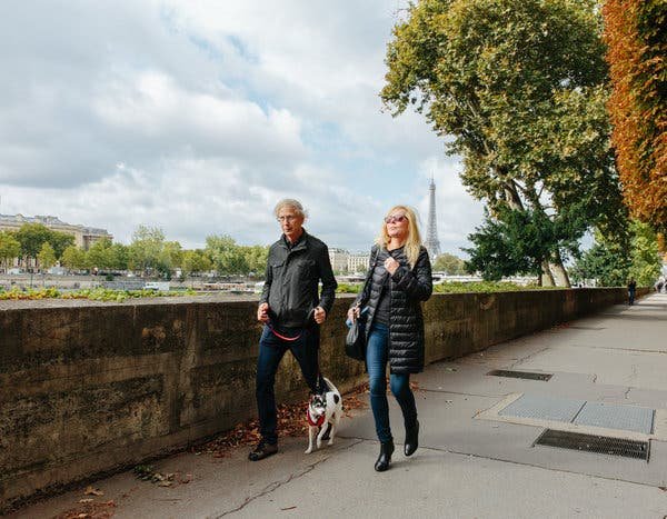 Best Way to Travel to France With a Dog  